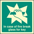 In Case of Fire Break Glass Bolt for Key