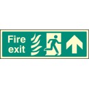 Disabled Fire Exit - Arrow Left